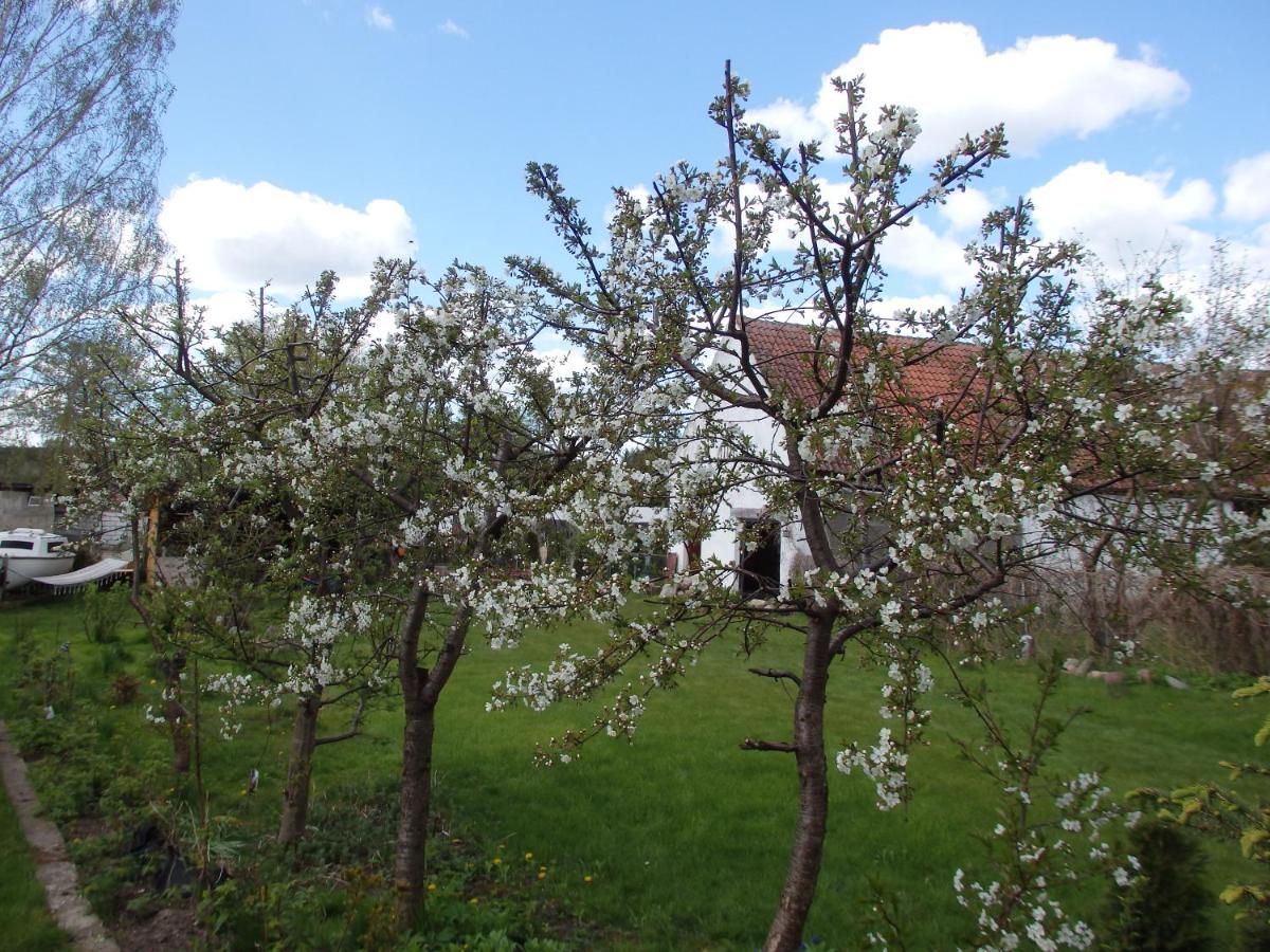 Krakowskie Mazury Gradzkie (Warmian-Masurian) Exterior foto