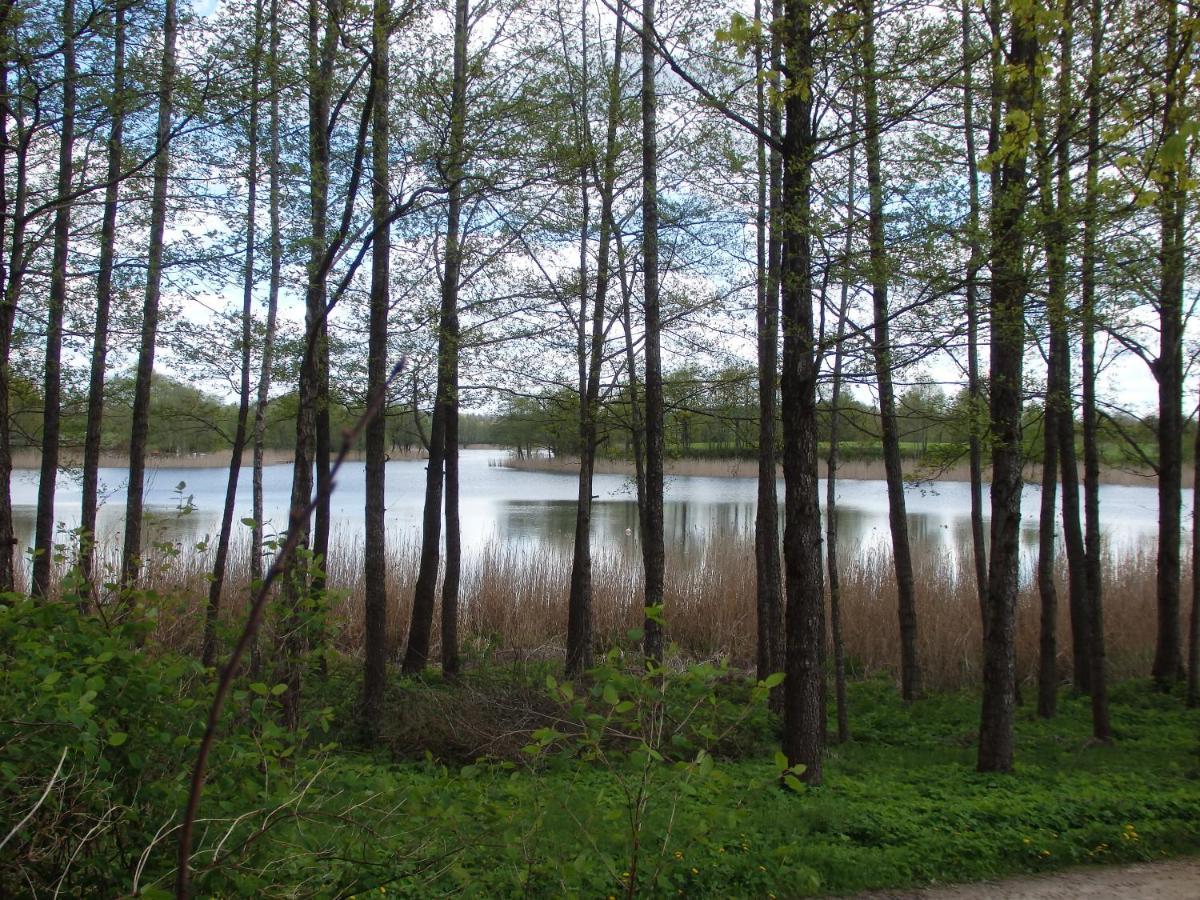 Krakowskie Mazury Gradzkie (Warmian-Masurian) Exterior foto