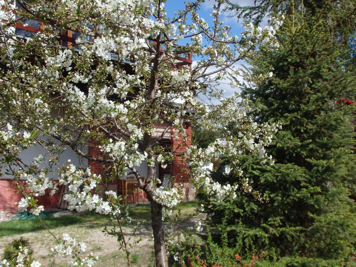Krakowskie Mazury Gradzkie (Warmian-Masurian) Exterior foto